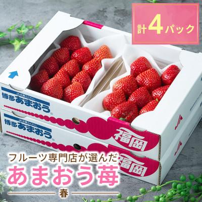 ふるさと納税 篠栗町 さとふる限定!フルーツ専門店が選んだ「あまおう苺」春4パック(篠栗町)