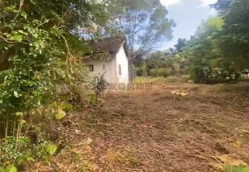 專售花蓮鳳林鄉村漫活田園有平房｜花蓮縣鳳林鎮中正路一段