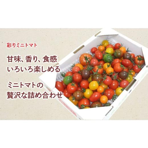 ふるさと納税 高知県 土佐市 ぎゅぎゅっとフルトマ＆彩りトマトセット ぎゅぎゅっとフルトマ（金ラベル）1本 ミニトマト1kg（10〜14種類）100%トマトジュース …