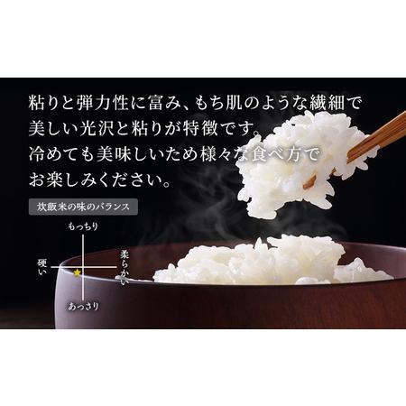 ふるさと納税 定期便 無洗米 令和5年産 あきたこまち 5kg×1袋 3ヶ月連続発送（合計 15kg） 秋田食糧卸販売 秋田県男鹿市