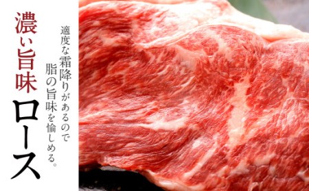  熊本県産 ステーキ用 あか牛 (ヒレ肉 600g ・ ロース肉 800g) 定期便 セット 牛肉 国産 赤牛 食べ比べ