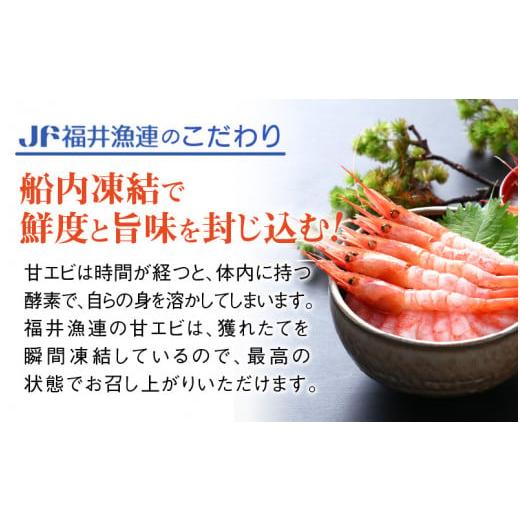 ふるさと納税 福井県 越前町 [e12-a022] 甘えび 中サイズ45尾（計500g）船内凍結 福井県沖から直送！鮮度と旨味に自信あり【福井漁連 ブランド品 甘エビ あま…