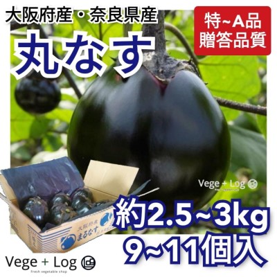 薄皮丸ナス　　3kg