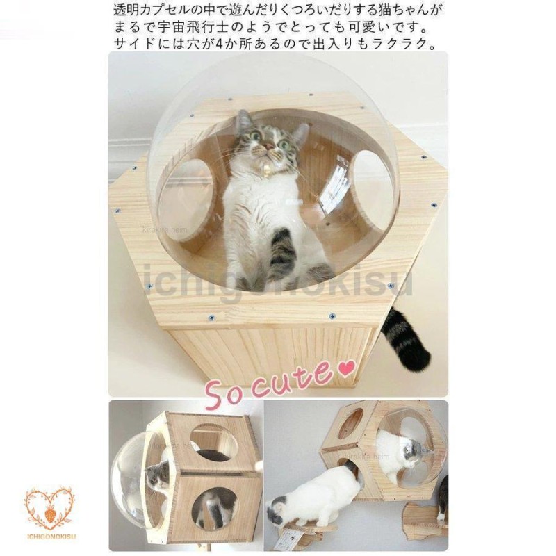 クリアランス売れ筋 猫 キャットウォーク キャットステップ