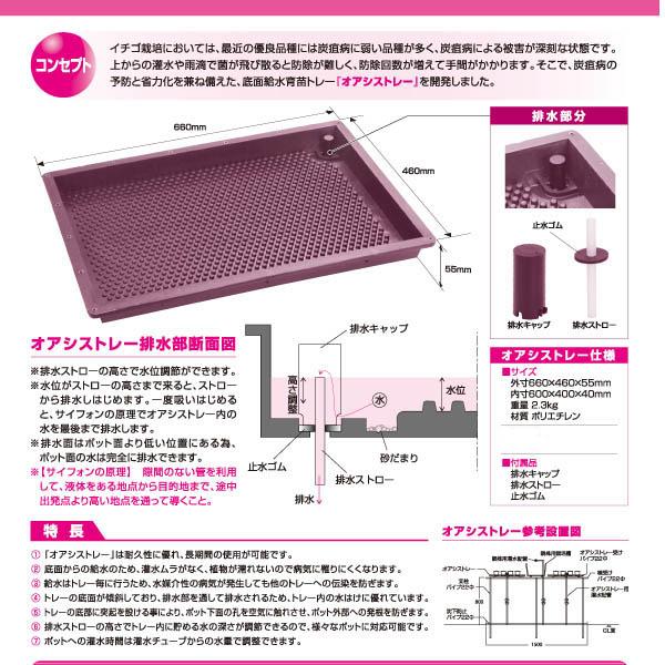 サンポリ オアシストレーセット 底面給水 育苗