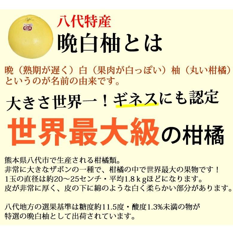 晩白柚 みかん ばんぺいゆ 訳あり 送料無料 約3kg〜4kg 2玉入 M〜2Lサイズ 世界最大級の柑橘 熊本県八代産 蜜柑 ミカン