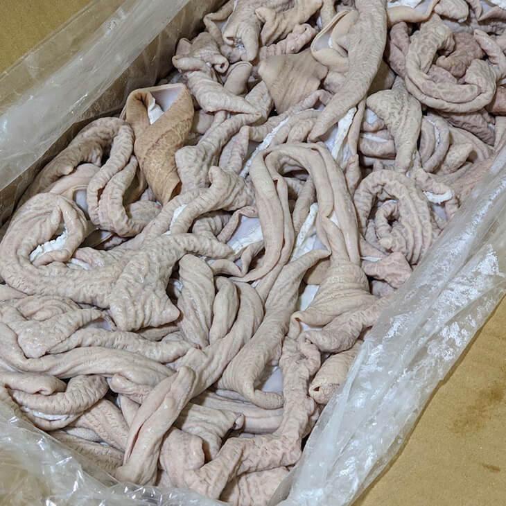 豚 国産 豚小腸ボイル 10kg  豚肉 肉 業務用 鹿児島 ホルモン 送料無料 ナンチク かごしまや