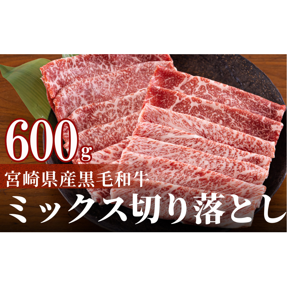 宮崎県産 黒毛和牛 切り落とし 600g (300g×2) 小分け モモ カタ バラ ミックス 冷凍 送料無料 国産 牛 肉 切落し 牛丼 肉じゃが しぐれ煮 煮込み 肩 プレゼント ギフト 贈り物