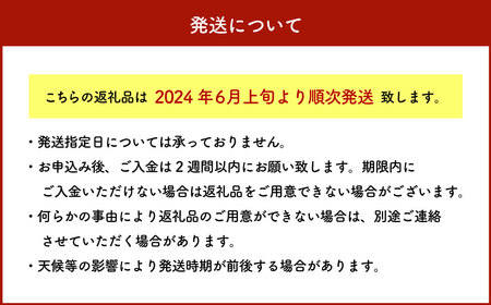 SDGs米糠堆肥で作ったベビーコーン50本