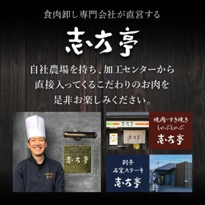 「熟成肉ロース」ステーキ(250g)〈焼肉 ロース 250g 和牛 ステーキ 国産 牛肉 赤身 贅沢 〉