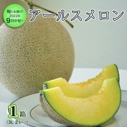 ＜先行予約＞  アールスメロン 1箱 （３L２玉入り） 直送 フルーツ 果物 お取り寄せ 茨城県産 特産品 期間限定 [AA002ya]