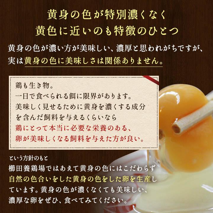 二種食べ比べセット商品 高級名古屋コーチンの卵（20個入り）＋くしたま赤卵（20個入り） 送料無料 合計40個入り(内破卵保障4個含む) 食品 卵 鶏卵 玉子 たまご