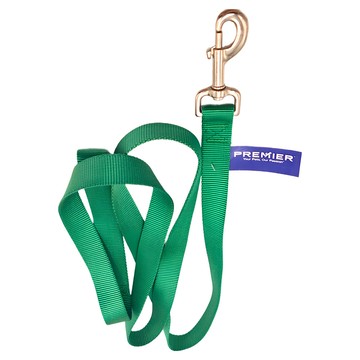 PetSafe 普立爾 Premier 拉繩 適用於11kg以下小型犬  綠色  1個