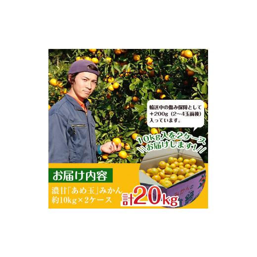 ふるさと納税 鹿児島県 出水市 i573 ＜2023年11月上旬〜2024年1月下旬の間に発送＞温州みかん日本一！濃甘あめ玉みかん(計約20kg・10kg…