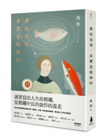 看似很美，其實是壞掉的[二手書_良好]