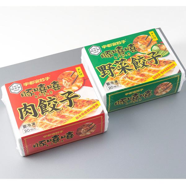 20個入り肉 野菜餃子各1箱 のし対応可