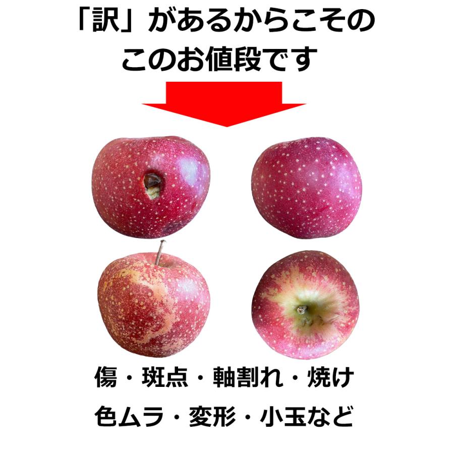 りんご 訳あり 10Kg箱 青森県産 千雪 りんご 10Kg前後 珍しい 変色しない 希少品種 送料無料