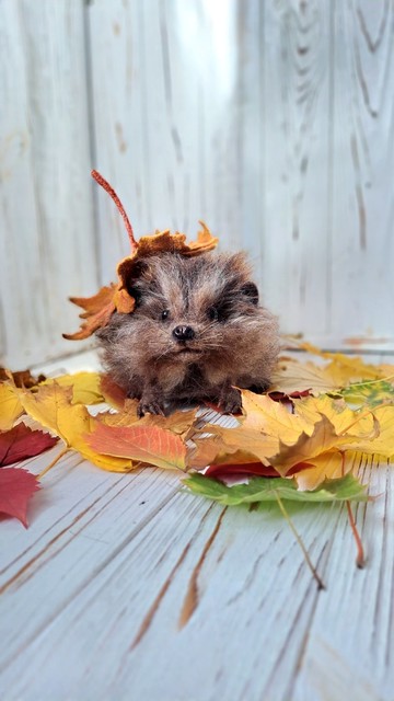 毛氈刺猬 家居裝飾 收藏毛氈刺猬玩偶
