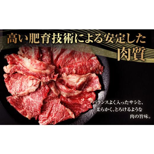 ふるさと納税 熊本県 水俣市 熊本県産黒毛和牛 焼肉 カルビ 切り落とし 約600g(300g×2パック)牛肉 肉