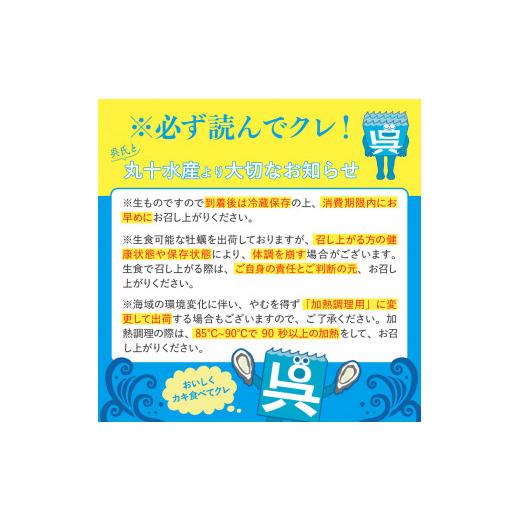 ふるさと納税 広島県 呉市 丸十水産 広島ブランド牡蠣 殻付き かき小町 約1.5kg  (8〜10個)