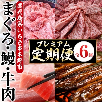 いちき串木野プレミアム定期便(マグロ・鰻・牛肉)