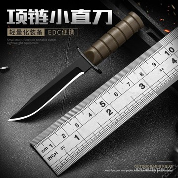 戶外刀具高硬度EDC迷你小刀防身小刀隨身小直刀不銹鋼削皮水果刀 XZHL