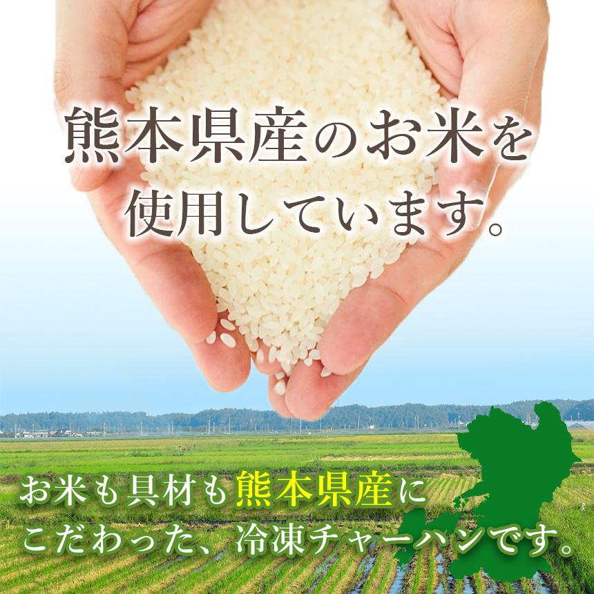 10月からキャンペーン実施中！ 国産素材　こだわり炒飯　５種セット　230g×10袋　バラエティセットＡ　たっぷり2.3kg　冷凍食品