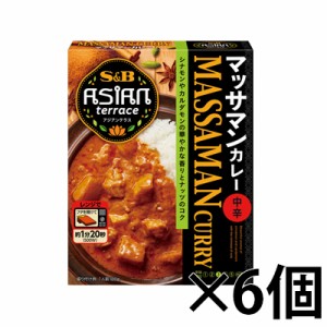 エスビー食品 アジアンテラス マッサマンカレー 中辛 180g