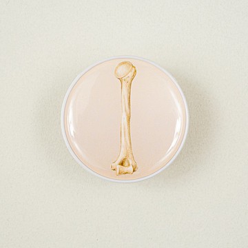 骨頭 手機氣囊支架 捲線器 | 器官 解剖 科學 禮物