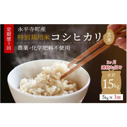 ふるさと納税 福井県 永平寺町  令和5年度産 永平寺町産 農薬不使用・化学肥料不使用 特別栽培米 コシヒカリ 5kg×3ヶ月…