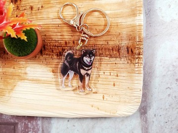 黑柴-用柴無誤-透明雙層壓克力吊飾 鑰匙圈