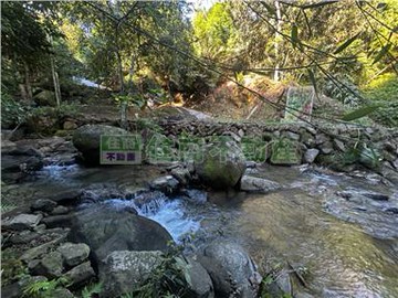 東勢軟埤坑臨溪休閒農地｜台中市東勢區慶福街