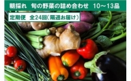 『定期便 全24回』朝採れ旬の野菜の詰め合わせ