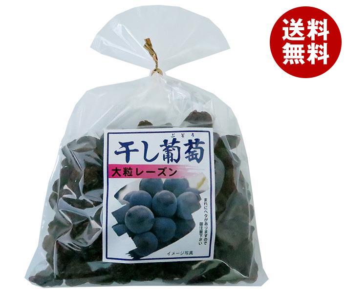 ナガトク 干し葡萄 大粒レーズン 400g＊5袋入