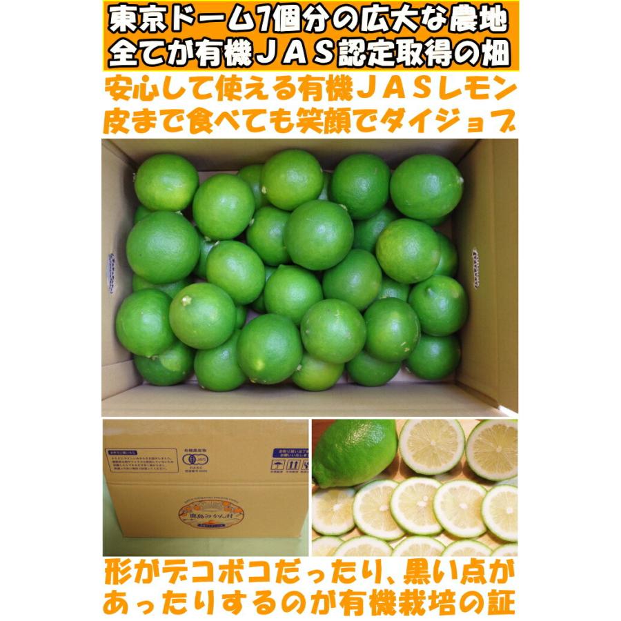 レモン 国産 10kg A品 有機 JAS認証 オーガニック ノーワックス 防腐剤不使用 皮まで食べれる 佐賀 佐藤農場 れもん