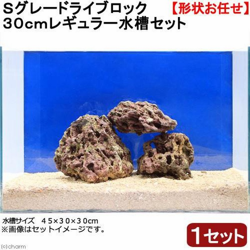 海水魚）Ｓグレードライブロック ３０ｃｍキューブ水槽用（１セット