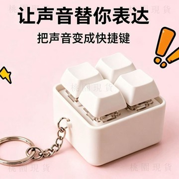 現貨803🚚自定義按鍵錄音錄製生日祝福節日祝福學生解壓玩具發聲發聲玩具