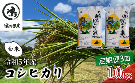 令和5年産　3ヶ月定期便　コシヒカリ　白米　10kg（5kg×2）