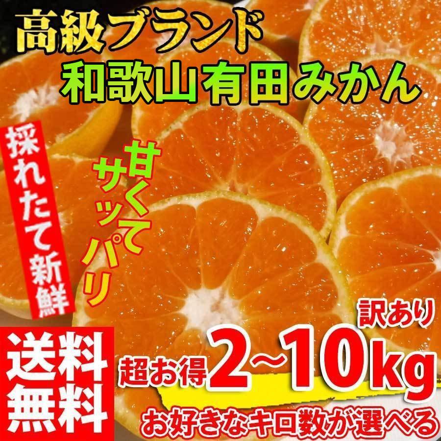 みかん 2kg~10kg 訳あり ブランド 和歌山 有田みかん ありだみかん 農家直送 ギフト 温州みかん フルーツ 果物