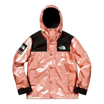 Supreme x The North Face Metallic Mountain Parka Rose Gold