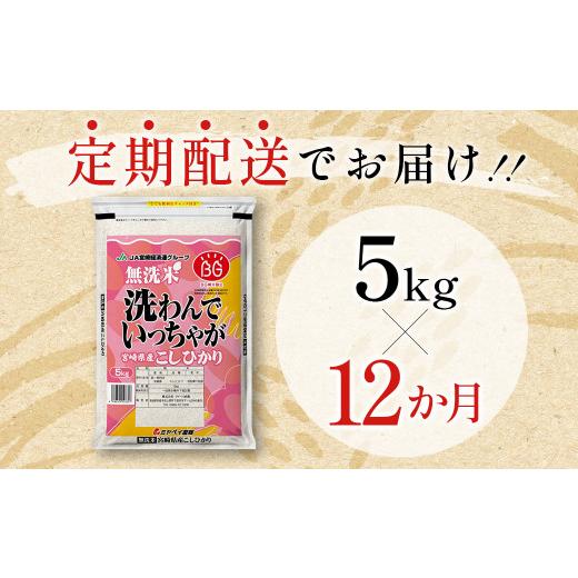 ふるさと納税 宮崎県 西都市 宮崎県産 無洗米 コシヒカリ 5kg×12回 合計60kg 便利なチャック付き＜9-5＞