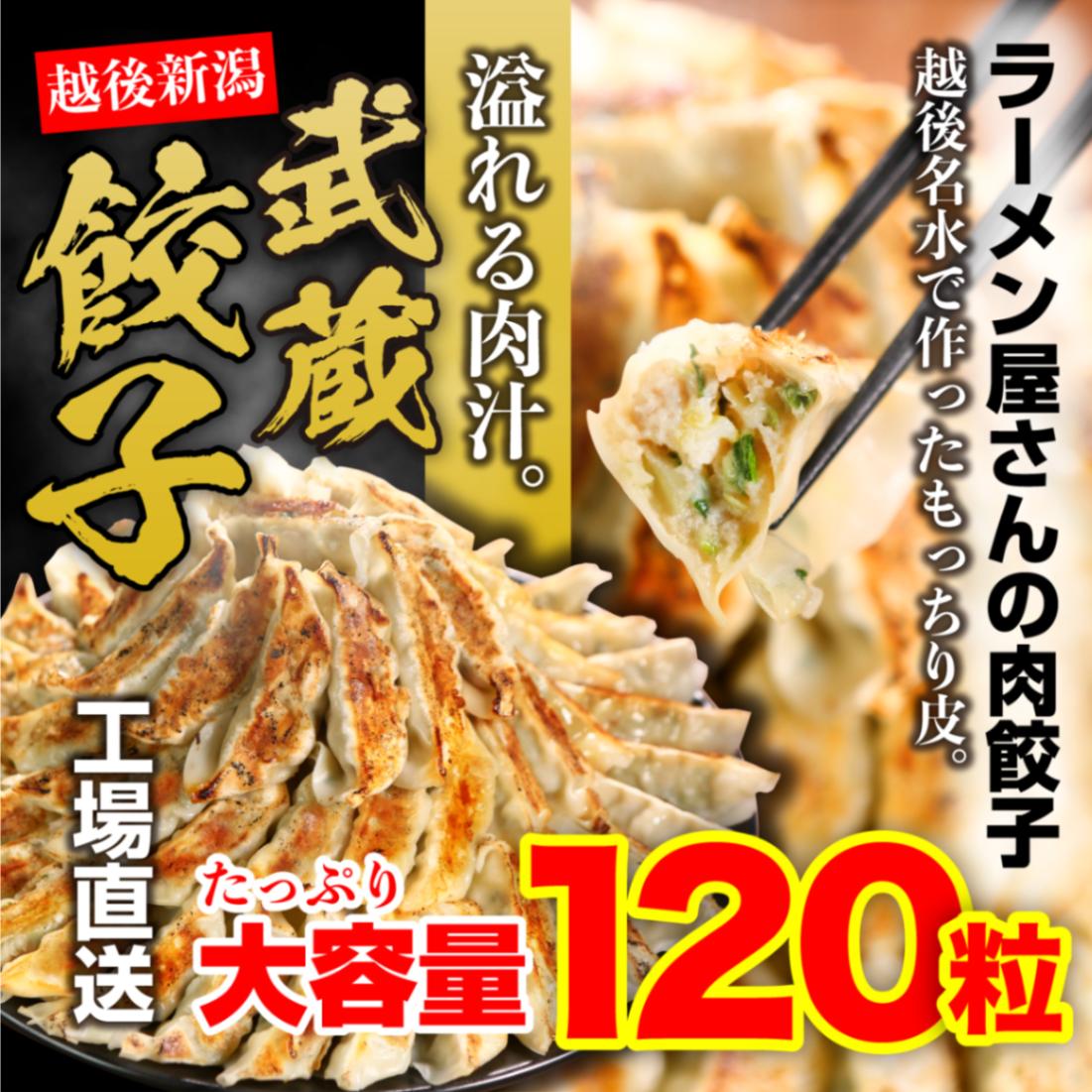 武蔵餃子(120粒入り)※送料無料(沖縄・離島部除く)