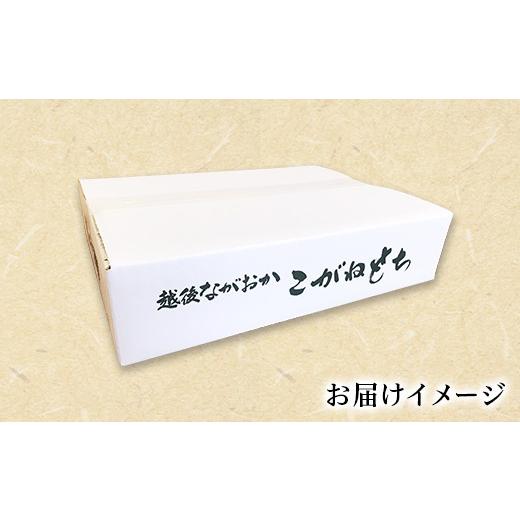 ふるさと納税 新潟県 長岡市 D9-04生切り餅3kg（新潟県長岡産こがねもち）