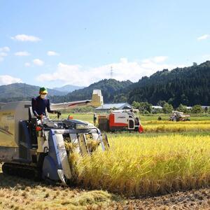 ふるさと納税 県認証特別栽培魚沼産コシヒカリ 10kg×1袋 新潟県十日町市