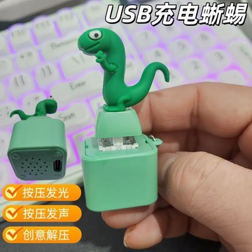 🌟台灣出貨🌟新款河狸變身計劃蜥蜴lizard小青蛇恐龍語音發光發聲解壓擺件充電款