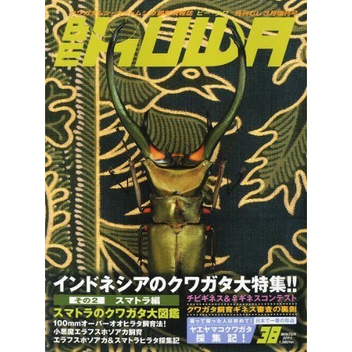 BE-KUWA (ビー・クワ) 2011年 03月号 雑誌