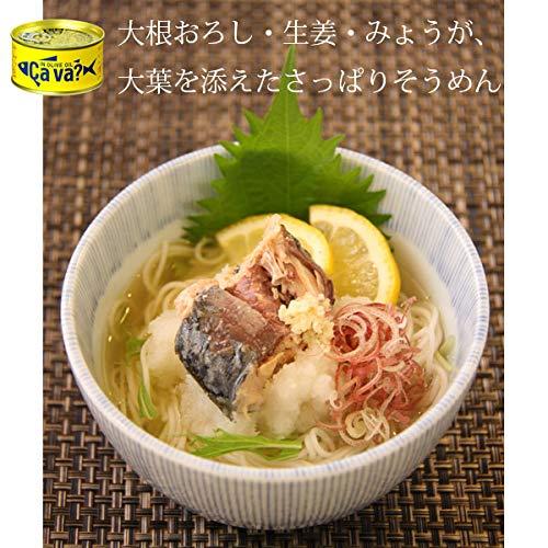 サヴァ缶 国産サバ缶 アソートセット 岩手県産 5種類×2缶 計10缶セット サバ缶 ギフト箱無