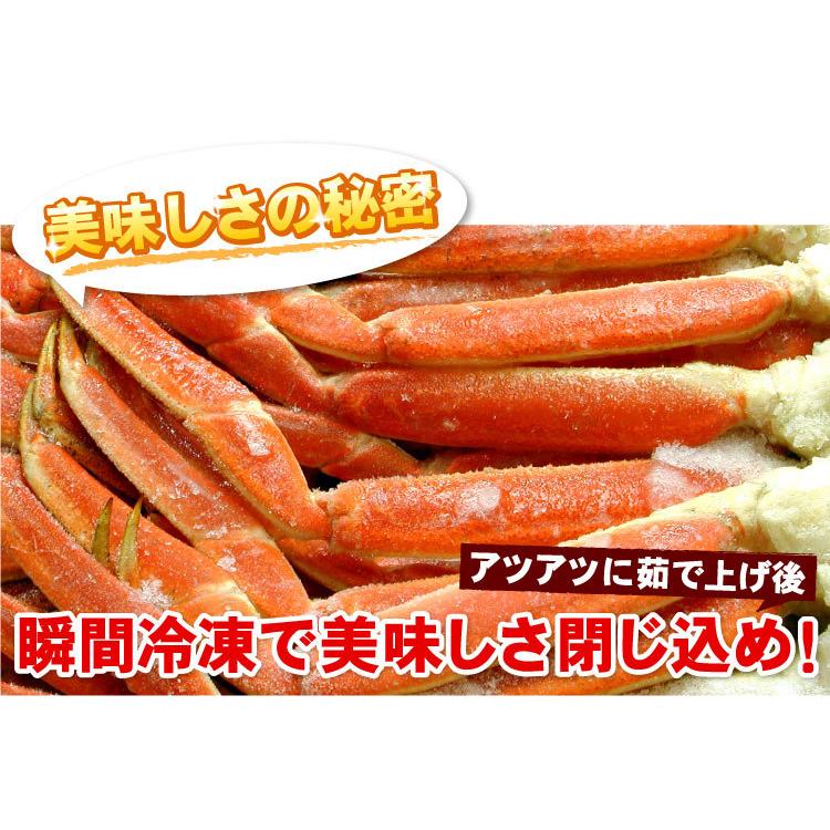 ズワイガニ足 2kg（約5-10肩入り）本ズワイガニ脚 ずわい蟹 ズワイ蟹 北海道 お取り寄せグルメ 送料無料（沖縄宛は別途送料を加算）