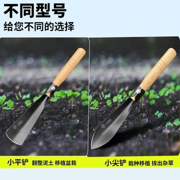 【臺灣出貨】小獅立錳鋼鏟子園藝花卉種花專用工具除草挖土鐵鏟種菜挖野菜神器
