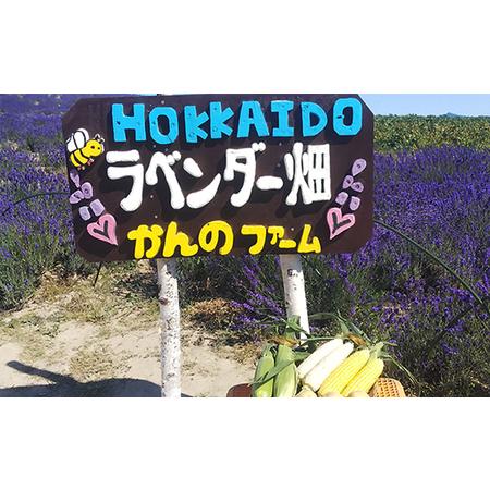 ふるさと納税 かんのファーム産 とうもろこし 食べ比べ 10本 セット(じゃがいも付) 北海道 上富良野町 とうもろこし トウモロ.. 北海道上富良野町